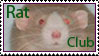stamp of an old-looking photo of a brown rat, with 'rat club' in green text